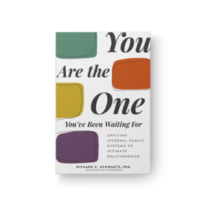 Image of the book "You Are The One You've Been Waiting For"